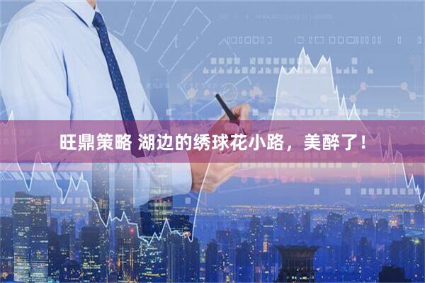 旺鼎策略 湖边的绣球花小路，美醉了！